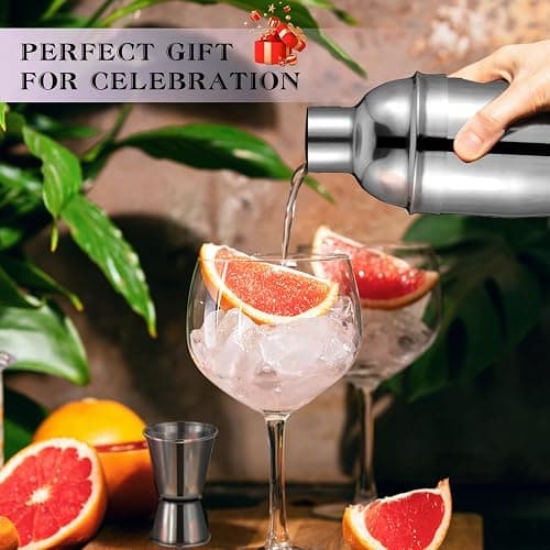 Cocktail Shaker Set, 6-Piece Mixology Bartender Kit Premium Shakers Bartending: Martini Shaker Jigger Mixing Spoon Muddler 2 Pourers Bar Tools Set with Built-in Bartender Strainer for Drink Shaker thumbnail 6