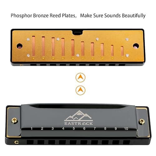 EastRock Blues Harmonica Mouth Organ 10 Hole C Key with Case, Diatonic Harmonica for Professional Player, Beginner, Students gifts, Adult, Friends, Gift Black thumbnail 2