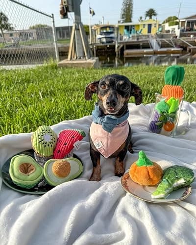 Nocciola Small Squeaky Crinkle Dog Toys- 15 Packs Grocery Basket Fruits Veggies Puppy Toys to Keep Busy, Cute Durable Plush Stuffed Hide Seek Cognitive Dog Christmas Stocking Stuffers thumbnail 7