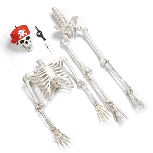 ZeHuoGe Halloween Prop 5.4 Ft. Posable Full Body Skeleton Life Size ABS Plastic Imitate The Ratio of Human Bones 1: 1 Haunted Houses Indoor Outdoor Props (5 Ft Full Body Skeleton) thumbnail 8