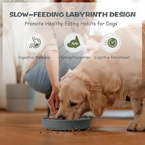 Lesipee Gamelle à alimentation lente pour chiens de grande et petite taille, anti-étouffement avec base antidérapante, bol interactif pour manger lentement pour animaux de compagnie, bol thumbnail 6
