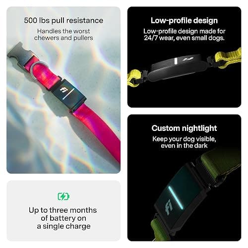 New Fi Series 3+ Smart Dog Tracker Collar – AI GPS for Dogs, Health & Behavior Monitor, Virtual Fence, Escape Alerts, Waterproof, Apple Watch Compatible 12Mo Membership Included thumbnail 6