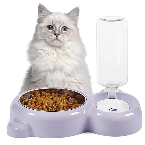 Dog Bowls, Cat Food and Water Bowl Set with Water Dispenser and Stainless Steel Bowl for Cats and Small Dogs - Purple thumbnail 7