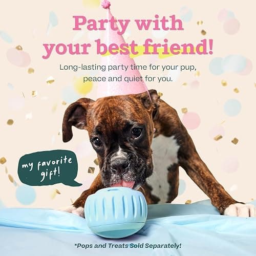 WOOF Party Pupsicle - Long-Lasting Interactive Dog Toys for Boredom - Low-Mess Design - Birthday Gifts for Dogs - Large Dog Toys - Buddy Blue thumbnail 2