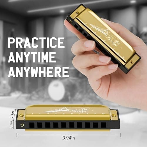 SDREAM Harmonicas for Adults Beginner,C Key Blues Harmonicas for Professional Musicians, Students,Harmonica 10 Holes 20 Tones,Diatonic Harmonica with Case,As a Gift(Gold, 10 holes blues primary) thumbnail 5