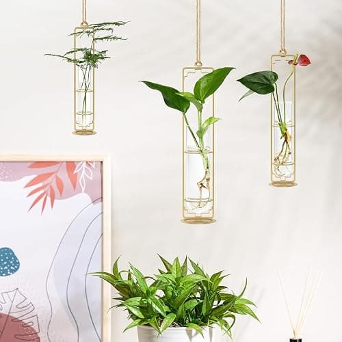 MIPON Plant Propagation Stations,Hanging Glass Propagation Test Tube Vases for Plants with Gold Metal Stand for Hydroponic Cutting Home Garden Office Decor-Gold - Gold thumbnail 4