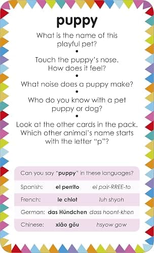 My First Touch and Feel Picture Cards: Animals (My First Board Books) thumbnail 5