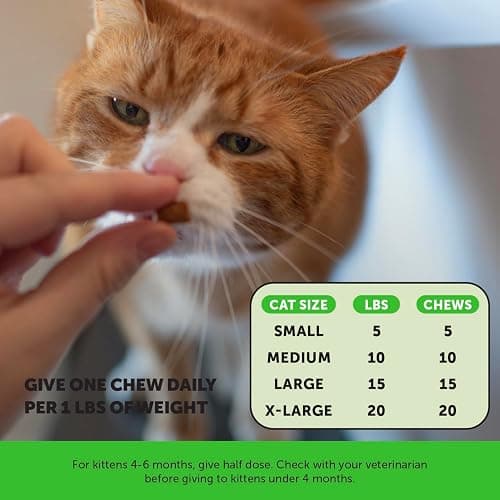 Cat Probiotics Gut + Immune Health Chews – Crunchy & Creamy Cat Treats for Digestive Health, Gut Flora & Constipation Relief – Supports Immunity, Regularity, & Healthy Digestion, 30-Day Supply Chicken thumbnail 7