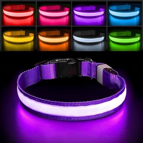 PcEoTllar Light Up Dog Collars, LED Dog Collar Rechargeable Purple Lighted Dog Collar Waterproof Dog Lights for Night Walking RGB Colorful Flashing Dog Collar for Small Medium Large Dogs-Purple-M - Image 1