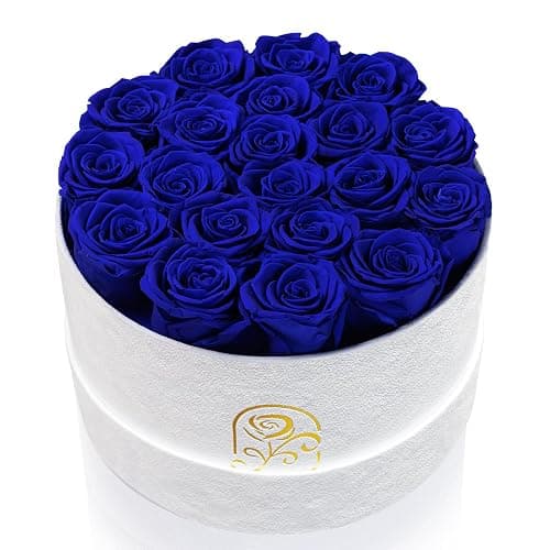 Preserved Roses Flower Box, Luxury Velvet Box with 20 Roses, Preserved Flowers, Romantic Gift for Her, Wife, Girlfriend, Birthday Anniversary Christmas (Royal Blue) - Image 1