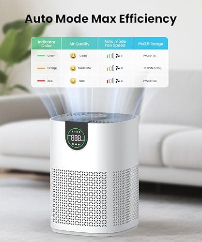 Air purifiers thumbnail 6
