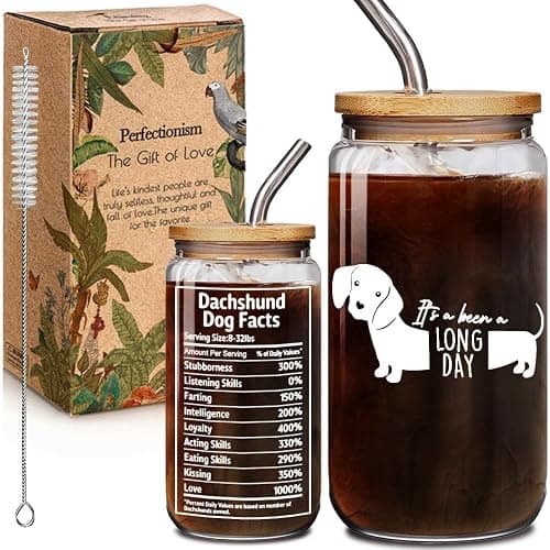Dachshund 16oz Glass Cups with Lids and Straws Gifts for Women Men - It's Been A Long Day Dachshund, Weiner Dogs Decor, Funny Iced Coffee Cup Gifts for Dog Lover, Mother Birthday Gift for Dog Mom - Image 1