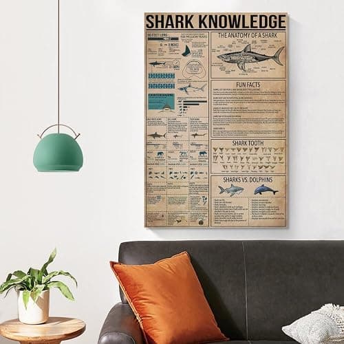 JPOSTHCZ Shark Knowledge Poster with Anatomy of Sharks Educational Canvas Wall Art Aesthetic Decorative Painting Living Roomstyle 12x18inch(30x45cm) thumbnail 4