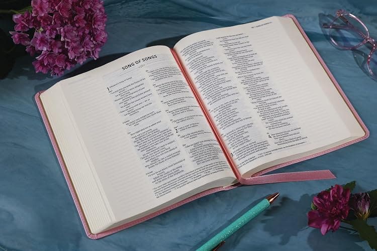 NIV, Journal the Word Bible (Perfect for Note-Taking), Double-Column, Leathersoft, Pink, Red Letter, Comfort Print: Reflect, Take Notes, or Create Art Next to Your Favorite Verses thumbnail 5