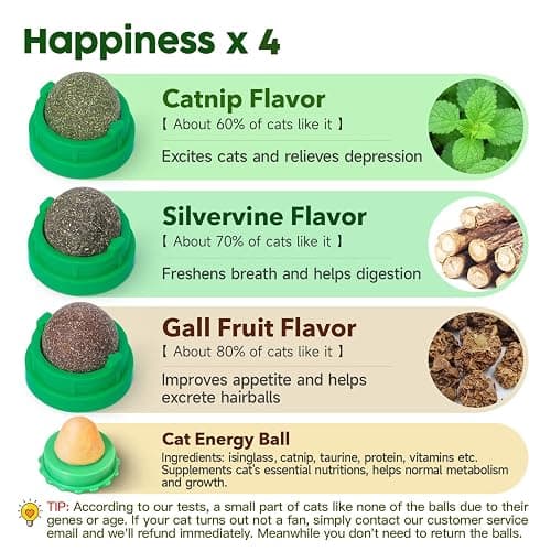 Potaroma Catnip Toys Balls 4 Pcs, Extra Cat Energy Ball, Edible Kitten Silvervine Toys for Cats Lick, Healthy Kitty Teeth Cleaning Dental Chew Toys, Cat Wall Treats (Green) thumbnail 2