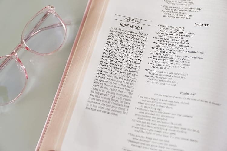 The Jesus Bible, NIV Edition, Leathersoft over Board, Pink, Comfort Print thumbnail 11
