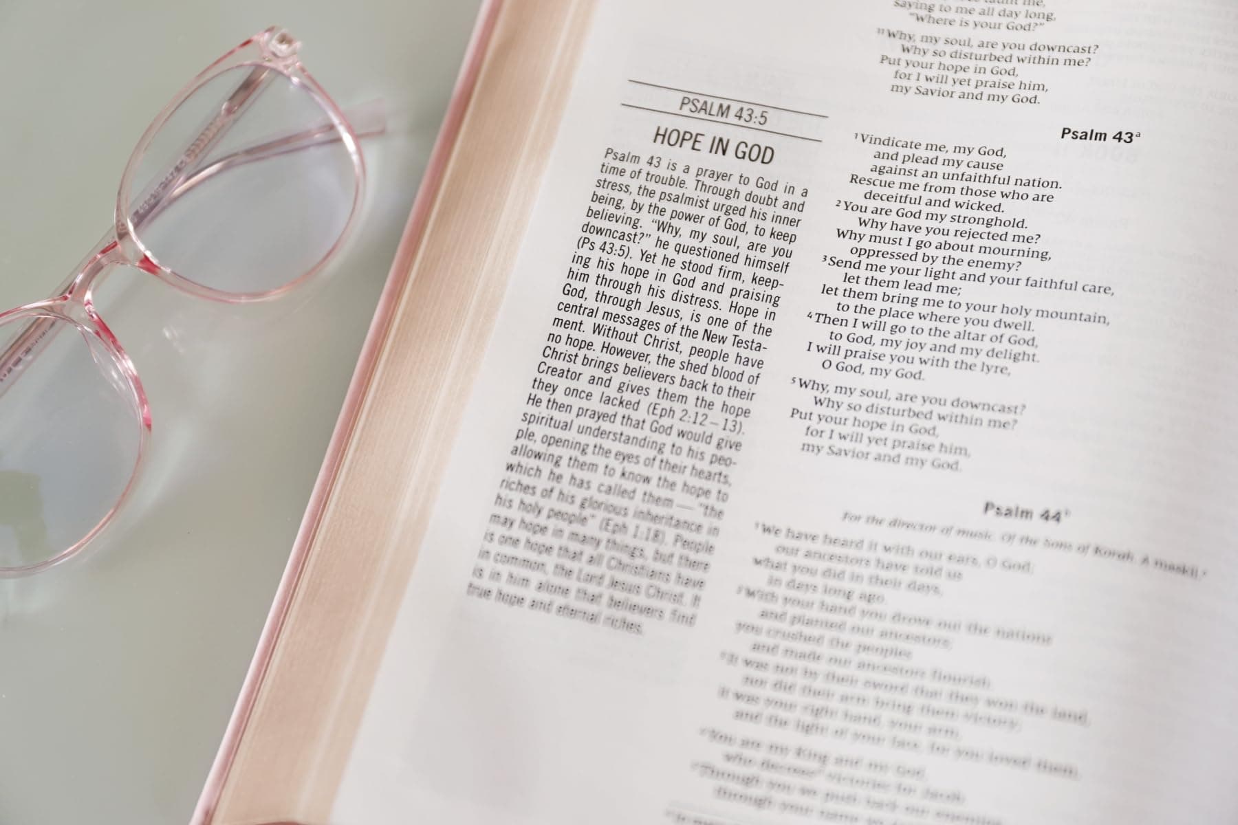 The Jesus Bible [NIV Edition, Pink] thumbnail 11