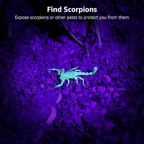 Lepro 51 LEDs UV Light Handheld Blacklight, UV Flashlight Black Light, 395nm Detector for Pet Urine, Stains, Bed Bug and Scorpions, Battery Not Included thumbnail 9