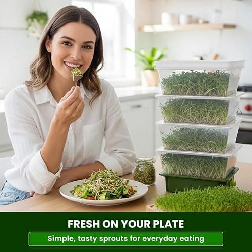 ZESTIGREENS 4-Tier Sprouting Kit with Drain Spout – Stackable Seed Sprouter Trays for Growing Fresh Sprouts at Home – BPA-Free, Easy Rinse & Drain System thumbnail 2