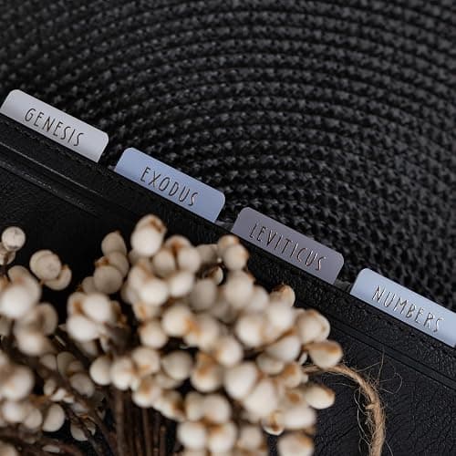 UPAFEXXI-Laminated Bible Tabs (Gold Foil Embossed Lettering), Bible Tabs for Women and Men, Reposition Large Print Stickers, Easy to Read and Apply, 80Chapters Labels for Easy Navigation(Blue) thumbnail 7