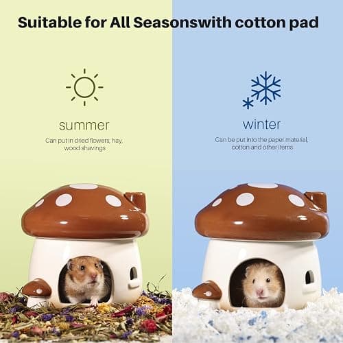 BUCATSTATE Hamster Hideout Ceramic, Mushroom Shape Hamster House and Habitats Ideal for Dwarf Hamsters, Gerbils, Mice, Syrian Hamsters, Chipmunk or Other Small Pets (Brown-Large) thumbnail 3