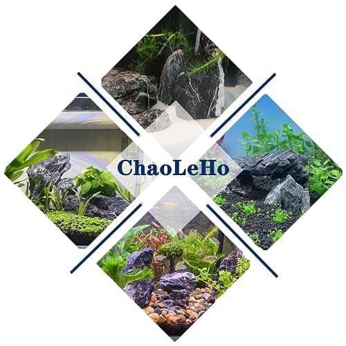 ChaoLeHo Natural Rocks Seiryu Stones Aquariums Stones for Aquascaping, Aquariums, Terrariums, Vivariums Decorative Stone,Reptile Enclosures,Paludariums,and Gardens-10lb（2 to 7 inch） thumbnail 6