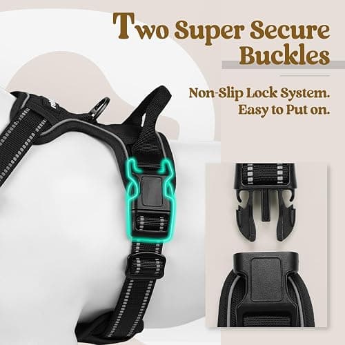 rabbitgoo Dog Harness, No Pull for Large Dogs with 2 Leash Clips, Pet Vest | No Choke with Handle, Adjustable Soft Padded, Reflective, Easy Control for Walking, Black, Large thumbnail 3