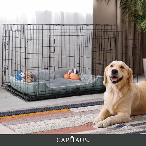 CAPHAUS Foldable Dog Crate Wire Metal Dog Kennel w/Leak-Proof Pan & Protecting Feet & Divider Panel, Single or Double Door, Small, Medium & Large Indoor Wire Cage, 24” w/Single Door thumbnail 8