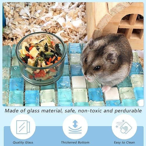 2 Pcs Hamster Food and Water Bowl Glass Anti-Turning Transparent Dish for Hamster and Other Small Pet thumbnail 2