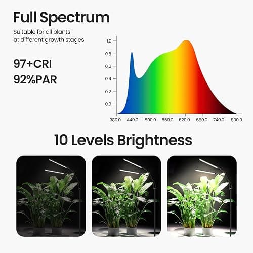 MistyJungle Grow Light for Indoor Plants, Full Spectrum Dual Heads Grow Light with Adjustable Gooseneck, 3/9/ 12H Auto Timer, 10-Level Dimmable Floor Lamp for Large Plants, Seedlings & Winter Growing thumbnail 3