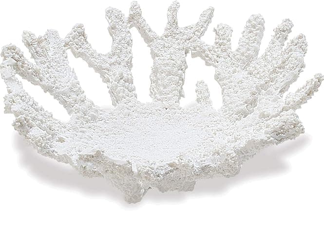 Abbott Collection Coral Bowl, White (Small) - Small Shallow Coral Bowl - Image 1