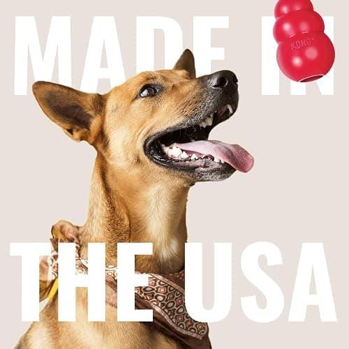 KONG - Extreme Goodie Bone - KONG's Most Durable Natural Rubber Dog Bone for Power Chewers - Black - For Medium Dogs thumbnail 6