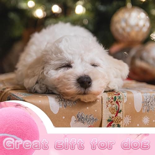 Banfeng Big Tennis Ball for Dogs, Giant Dog Tennis Ball Toy Large Outdoor Sports Gift for Small Medium Large Dog (Pink, 9.5 inch) thumbnail 5