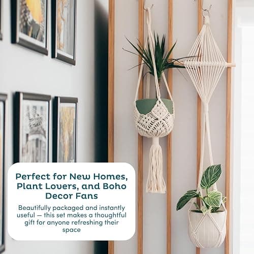 Plant Hanger thumbnail 8