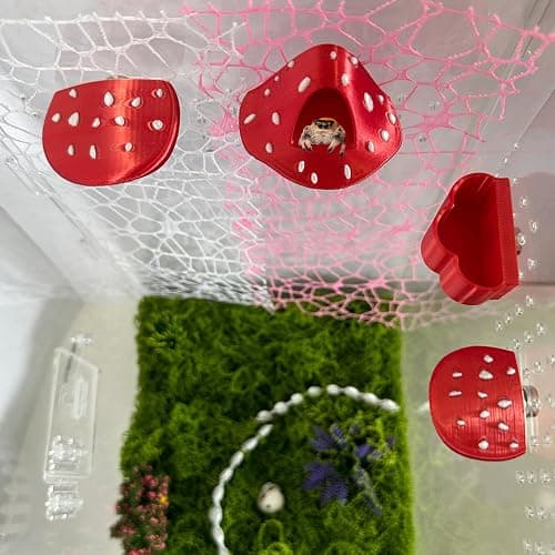 Okueejur Jumping Spider Accessories Kit – 6 Pcs Set with Mushroom Platforms, Magnetic Feeder Dish, and 2 Spider Webs (Pink & White) for Climbing, Feeding, and Decorating - Image 1
