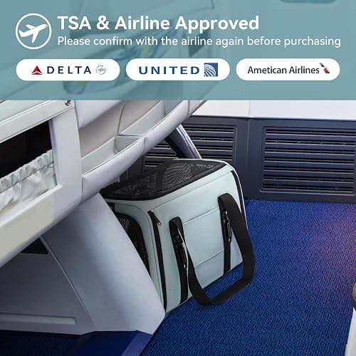 PETSFIT Soft-Sided Cat Carrier with Patented Safety Buckles, Lockable Zippers & Safety Tether,Escape-Resistant Travel Pet Carrier for Car Rides & Vet Visits, Airline Approved Under-Seat, Up to 12 lbs thumbnail 7
