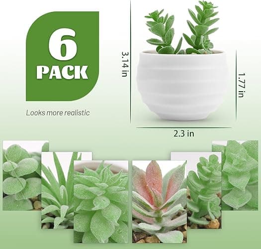 Der Rose 6Pcs Fake Plants Cute Succulent Small Artificial Plants for Home Office Bathroom Living Room Bookshelf Bedroom Decor Indoor Aesthetic thumbnail 3