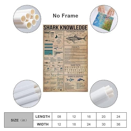 JPOSTHCZ Shark Knowledge Poster with Anatomy of Sharks Educational Canvas Wall Art Aesthetic Decorative Painting Living Roomstyle 12x18inch(30x45cm) thumbnail 2