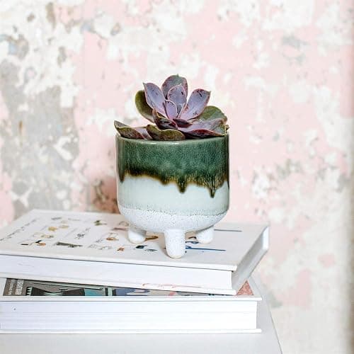 Sass & Belle Mojave Glaze Green Planter thumbnail 2