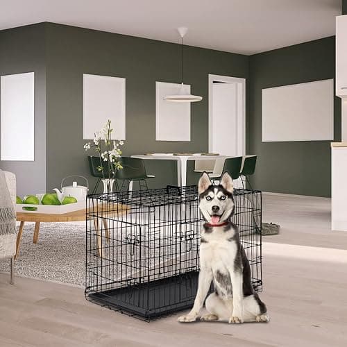 FDW Dog Crate for Large Dogs 42 Inch Folding Metal WirePet Cage Double Door W/Divider Panel Indoor Outdoor Kennel Leak-Proof Plastic Tray,Black thumbnail 2