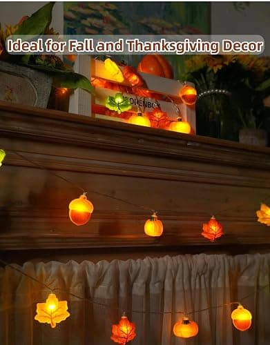 Yoitomehy Fall Lights Battery Operated, 3D Maple Leaves, Pumpkins & Acorns, Fall Decor, 10FT 20LED Thanksgiving Lights, 8 Flashing Mode, Autumn Decorations for Home Indoor thumbnail 3