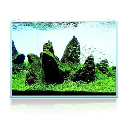 LYPHARD AQUARIUMS 9.5 Gallon Rimless Aquarium, Ultra Clear Glass Low Iron Small Fish Tank for Betta, L15.7×W11.8×H11.8 Inches Thickness 5mm with EVA Foam Mat Included thumbnail 7