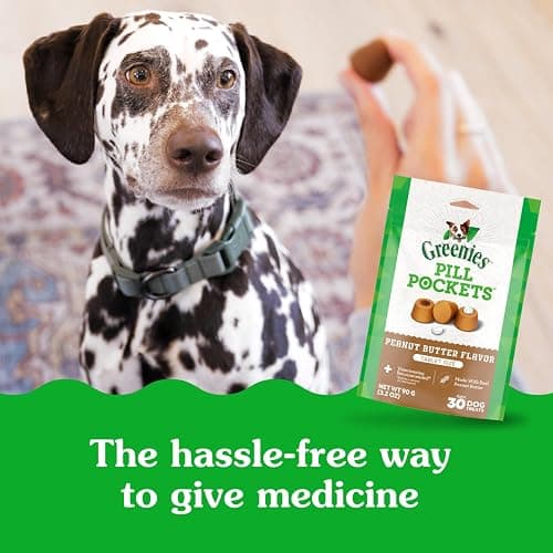 Greenies Pill Pockets for Dogs Large Size, Dog Treat Pouch for Capsule Medication, Peanut Butter Flavor, 7.9 oz. Pouch thumbnail 5
