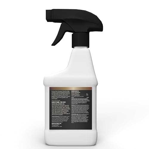 Granny Dee’s Earwig & Silverfish Killer Indoor & Outdoor (Made in USA) - Kills Pests in 24 Hrs - Plant-Based Bug Killer with Peppermint Oil - Safe for Pets & Kids - Targets Earwigs, Ants, Insect Flies thumbnail 2