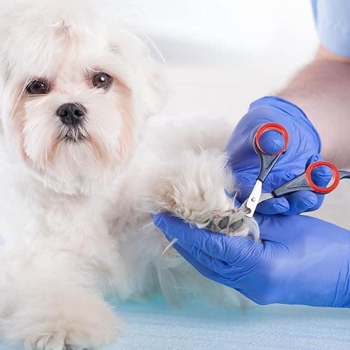 20 Pieces Scissors Finger Rings Silicone Pet Shears Finger Rings rubber finger dog hair scissors for Grooming Scissors Pet Hair Shears thumbnail 6