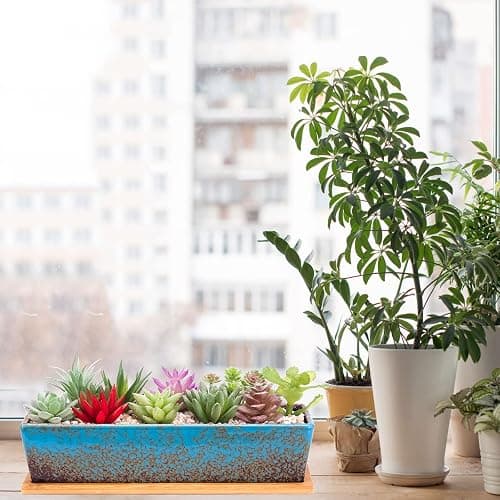 Succulent Pots - 12.1 Inch Large Succulent Planters Pots with Drainage Tray, Long Rectangle Ceramic Pot for Indoor Cactus/Succulent Plants Shallow Bonsai Window Box for Home Garden Decor (Blue) thumbnail 6