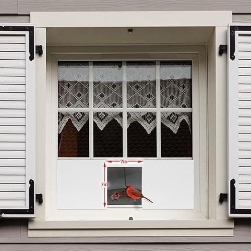 JOYSEUS Window Bird Feeder, 180° Clear View Bird Feeder, Durable and Elegant in-Window Bird Feeder for Watching Birds - Embrace The Delight of Bird Feeder. thumbnail 2