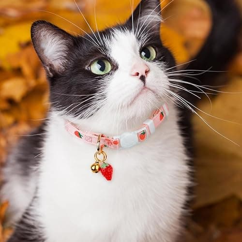2 Pack Cotton Breakaway Cat Collar Pink Strawberries and White Heart Shaped Pendant Cute Kitten Cat Collar with Bell thumbnail 6