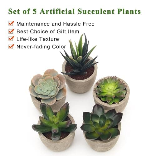 Coitak Artificial Succulent Plants Potted, Assorted Decorative Faux Succulent Potted Fake Cactus Cacti Plants with Pots, Set of 5 thumbnail 5