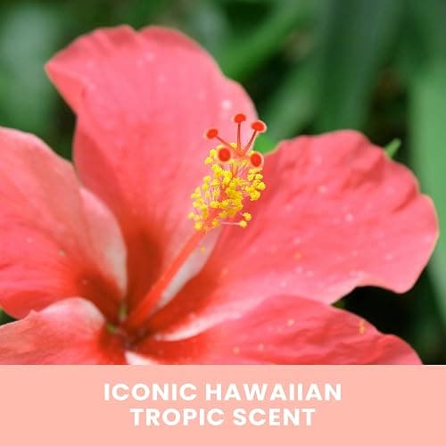 Hawaiian Tropic Sunless Tan 1 Hr. Express Self-Tanning Foam, 7oz | Express Tan, 1 Hour Self Tanner, Sunless Tanner, Sunless Tanning Foam, 7oz thumbnail 5